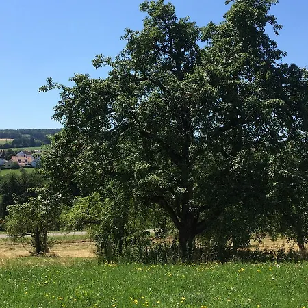 Hewen 4* Engen