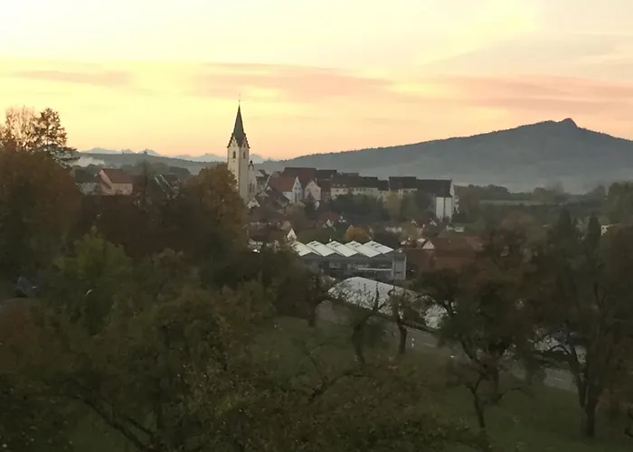 Lägenhetshotell Hewen Engen